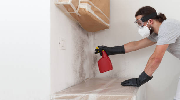 Professional Black Mold Remediation technician working in Pottersdale, PA