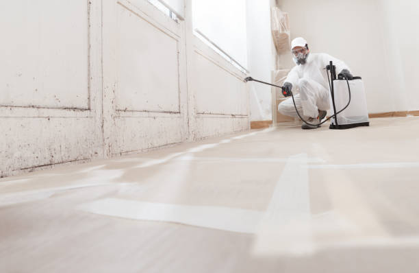 24/7 Emergency Black Mold Remediation experts in Pottersdale, PA