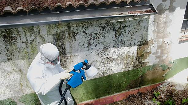 Top rated local Black Mold Remediation specialists in Pottersdale, PA